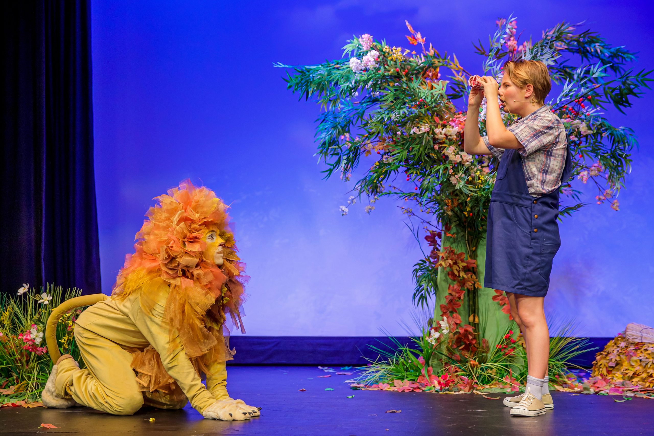 David meets Lion - A Lion in the Meadow and Other Stories