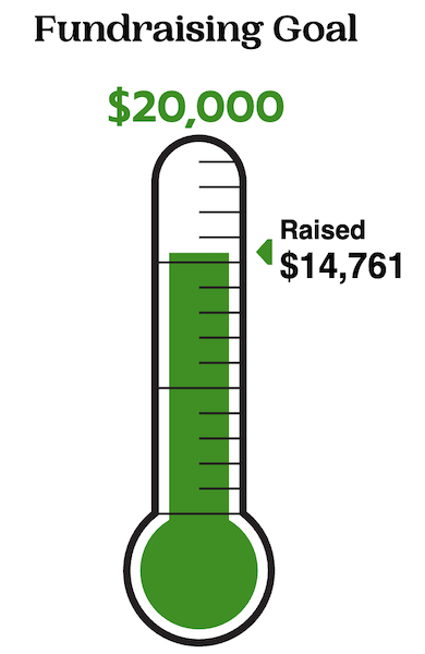 Fundraising goal thermometer
